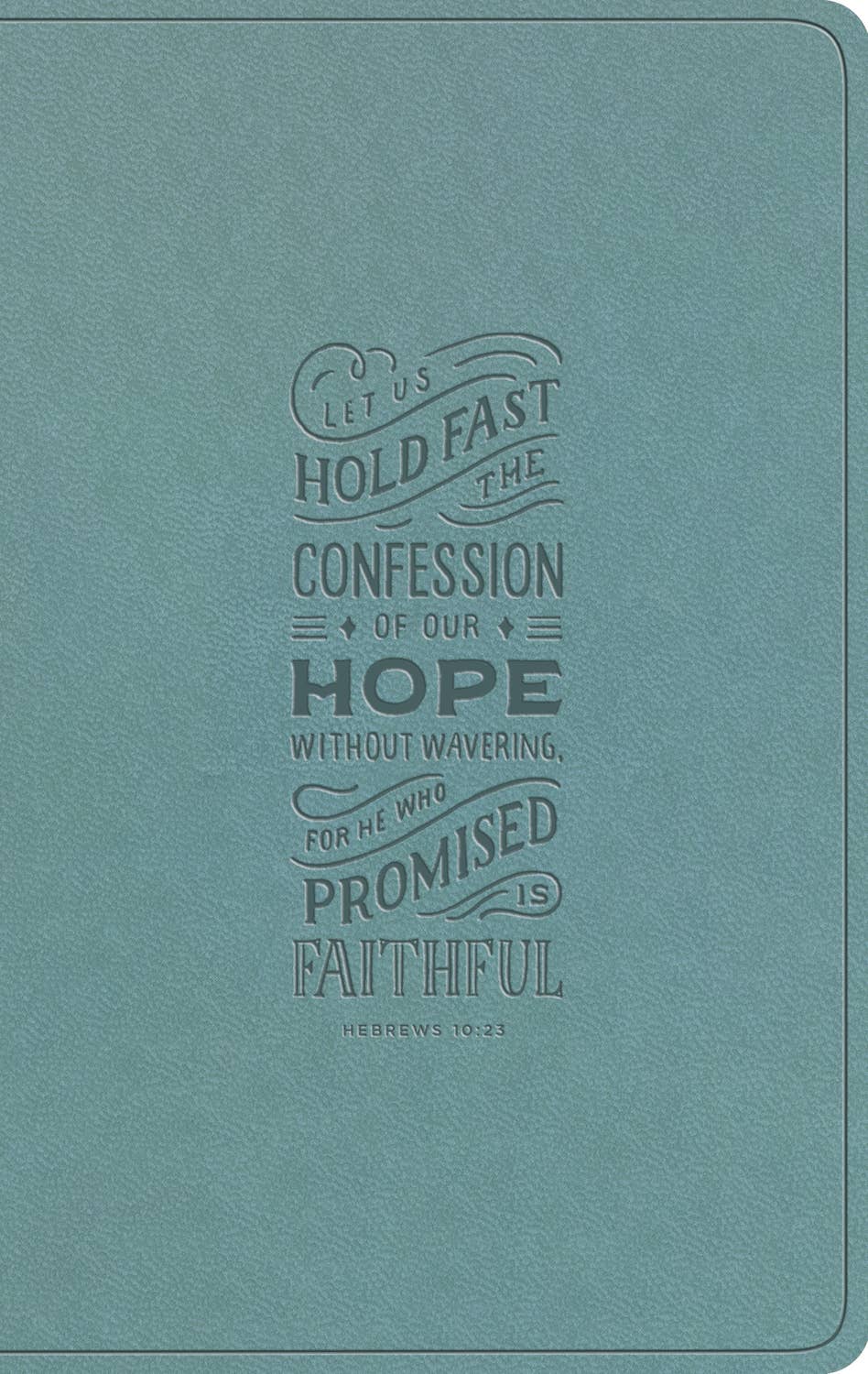 ESV LP Value Thinline Bible (TT, Paris)
