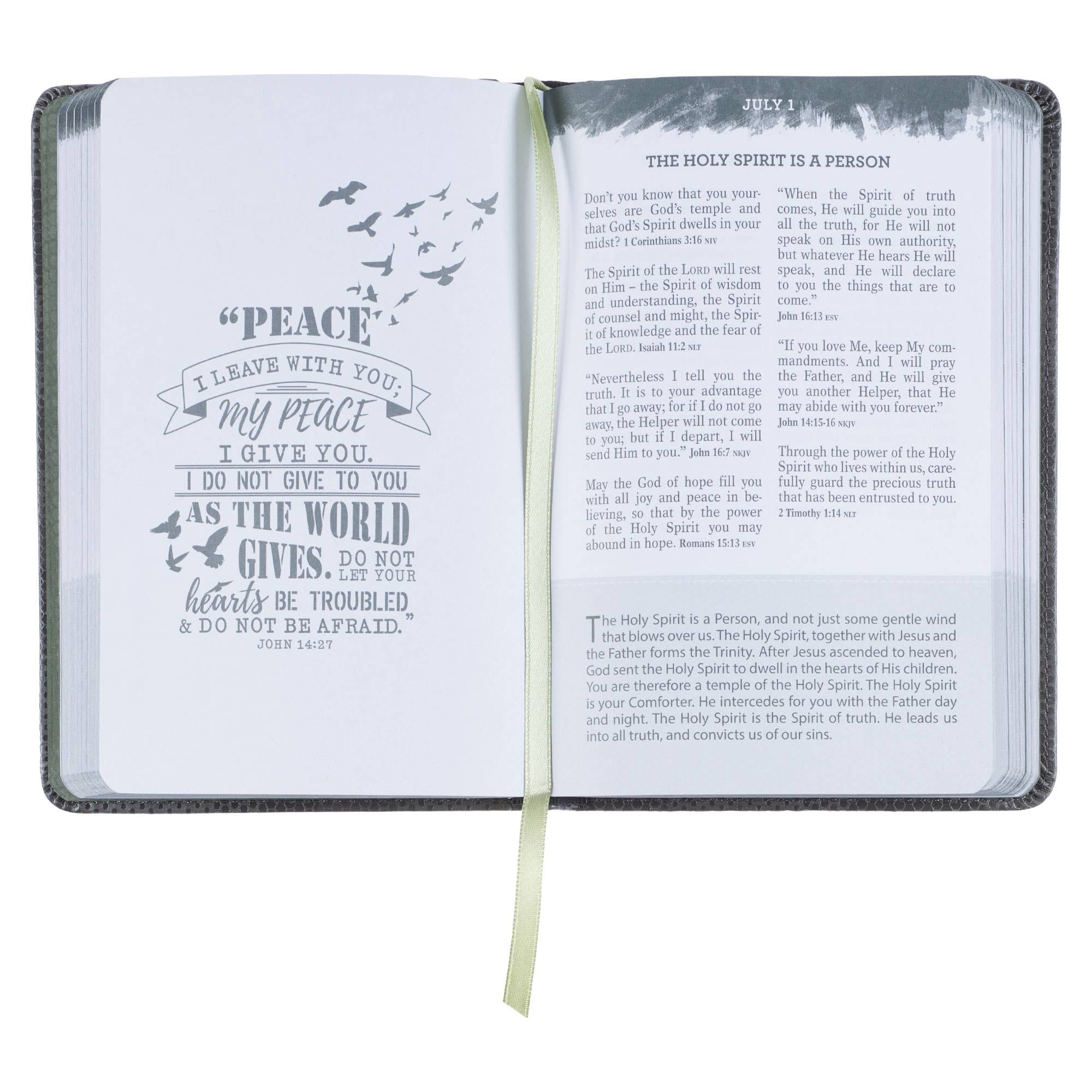 Pocket Bible Devotional for Guys Faux Leather