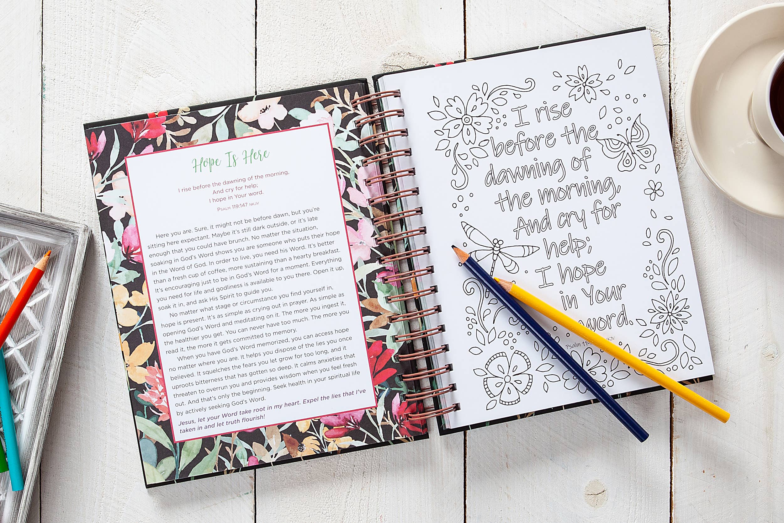 Think on These Things (Devotional Coloring Book)